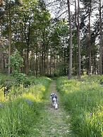 Hollicarrs - Dragonfly Lodge