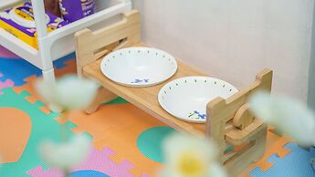 Goseong Sea&star Pension