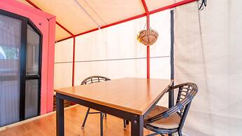 Nami Island Healing Leisure Camping&glamping