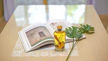 Goseong Gamnamu Pension