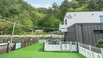 Gapyeong Dangdangi Pet Poolvilla Blue