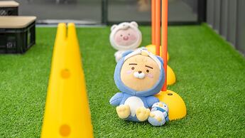 Gapyeong Dangdangi Pet Poolvilla Blue
