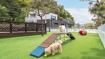 Gapyeong Dangdangi Pet Poolvilla Blue