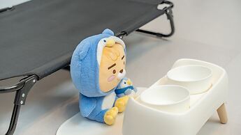 Gapyeong Dangdangi Pet Poolvilla Blue