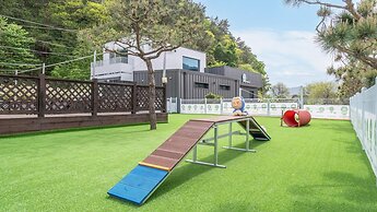 Gapyeong Dangdangi Pet Poolvilla Blue