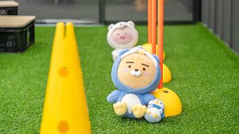 Gapyeong Dangdangi Pet Poolvilla Blue