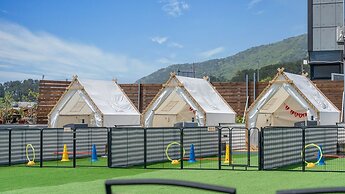 Namhae Dangdangi Dog Pension Blue