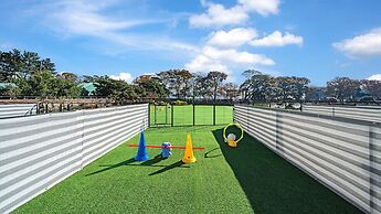 Namhae Dangdangi Dog Pension Blue