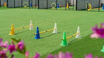 Namhae Dangdangi Dog Pension Blue