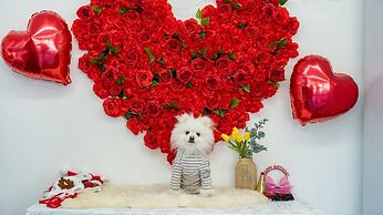 Namhae Dangdangi Dog Pension Blue