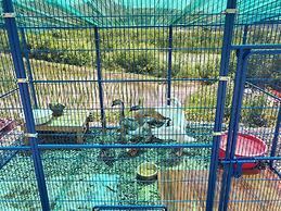 Gyeongju Tiger Pension