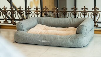 Gapyeong Two Dog Place Pension