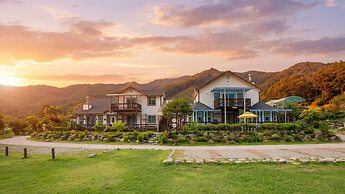 Hwacheon Parprika Yellow Pension