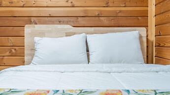 Hwacheon Parprika Yellow Pension