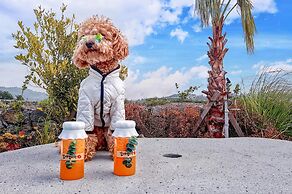 Seogwipo Dawa Pool Villa Pension