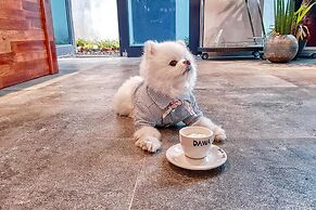 Seogwipo Dawa Pool Villa Pension