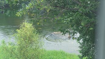 Gapyeong Tremore Pension