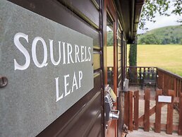 Squirrels Leap