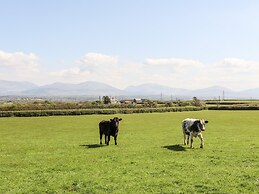 Mynydd Mwyn