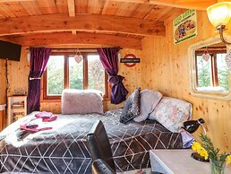 Packhorse Shepherds Hut