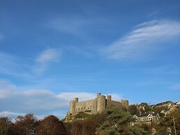 Glyn Morfa