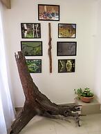 Hotel casa dos Frades