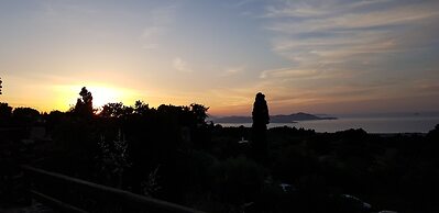 Chaihoutes stone House into Olive farm in Zia