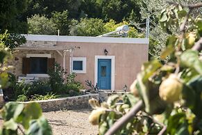 Chaihoutes stone House into Olive farm in Zia