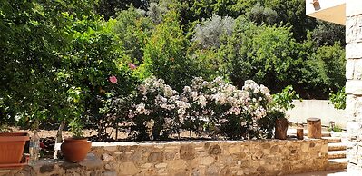 Chaihoutes stone House into Olive farm in Zia