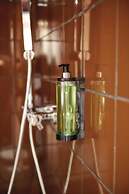 Dina Morgabine Saint Denis