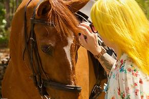 Toca dos Lobos - Ecological Cabin