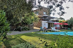 Toca dos Lobos - Ecological Cabin