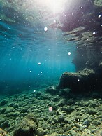 Villa ata Razanac - Apartment With sea View