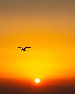 Room-villa ata Razanac - Apartment