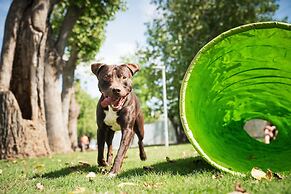 Club Del Sole Milano Marittima Boutique Resort