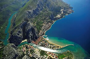 Sunflower House With a Pool and Large Garden