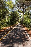 Club Del Sole Marina Romea Easy Camping Village