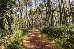 Club Del Sole Marina Romea Easy Camping Village