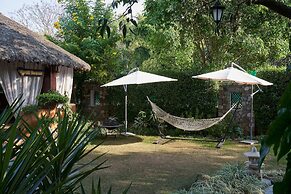 Tree of Life Vanvilas Riveredge