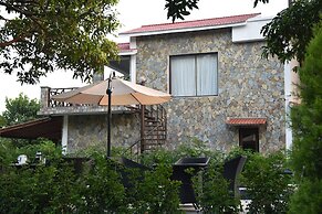 Tree of Life Vanvilas Riveredge