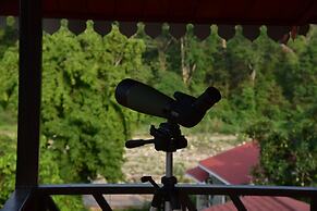 Tree of Life Vanvilas Riveredge