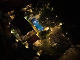 Tree of Life Vanvilas Riveredge