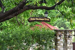 Tree of Life Vanvilas Riveredge