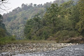 Tree of Life Vanvilas Riveredge