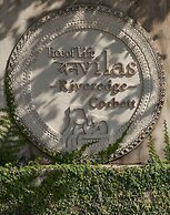 Tree of Life Vanvilas Riveredge