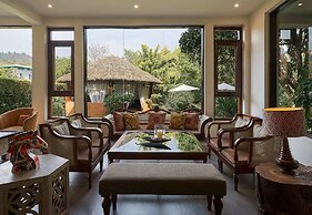 Tree of Life Vanvilas Riveredge