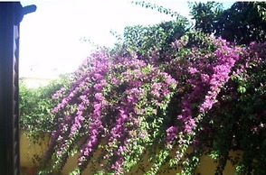 Dimora Del Sole Salento