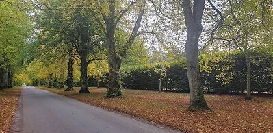 Atholl Rd Self Catering - 127 Central Location