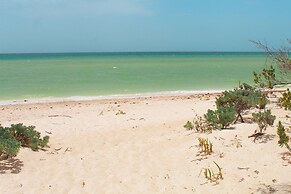 Delos Luxury 9 Bedroom near Chicxulub