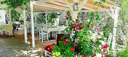 Umut Denizi Konukevi